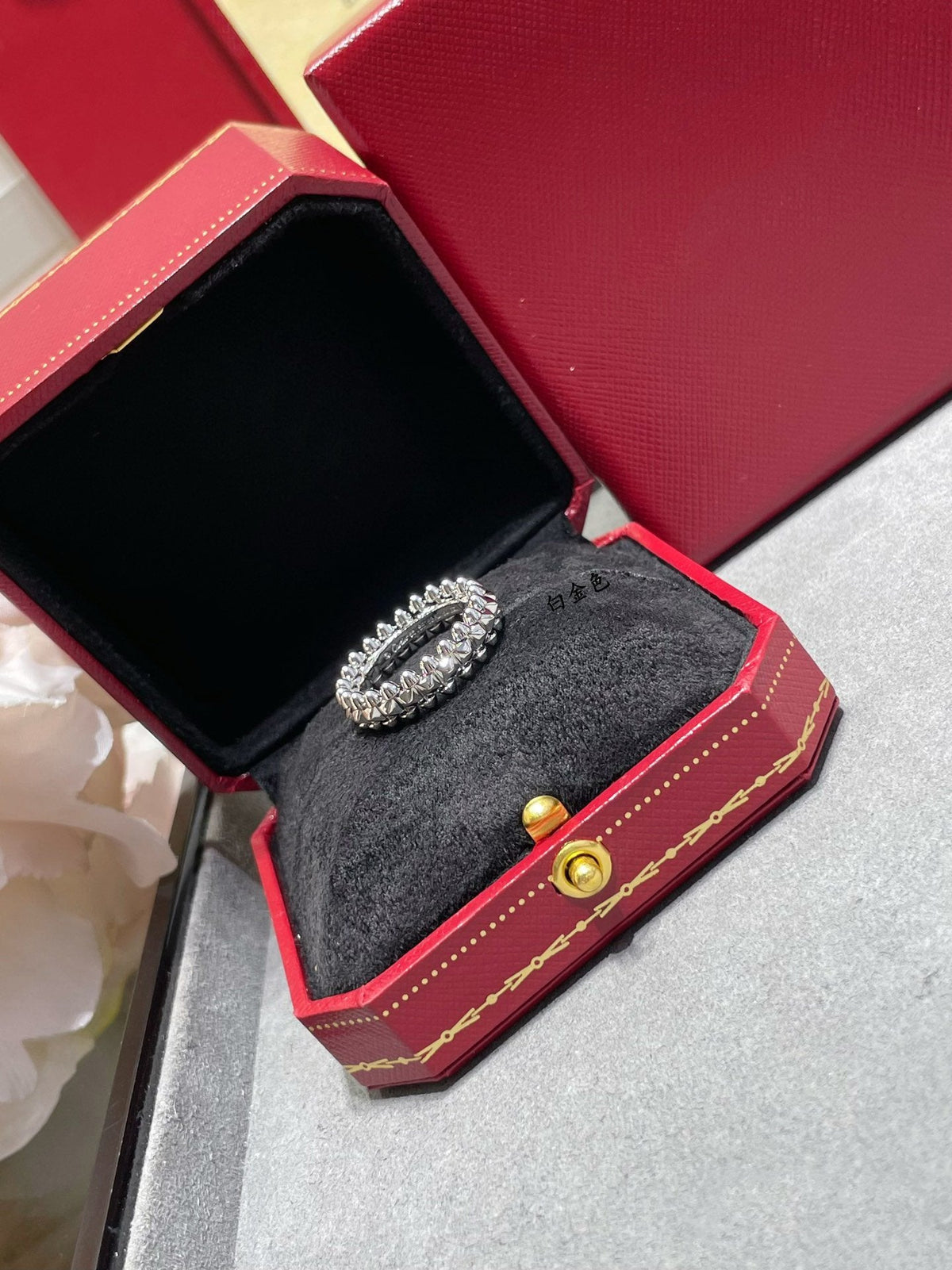 [⭐moonlume]CLASH 5.5MM RING