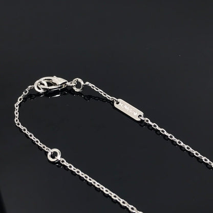 [⭐moonlume]CLOVER PIETERSITE SILVER LONG NECKLACE