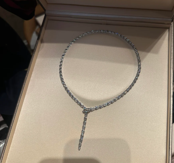 [⭐moonlume]NEW！SERPENT DIAMOND NECKLACE