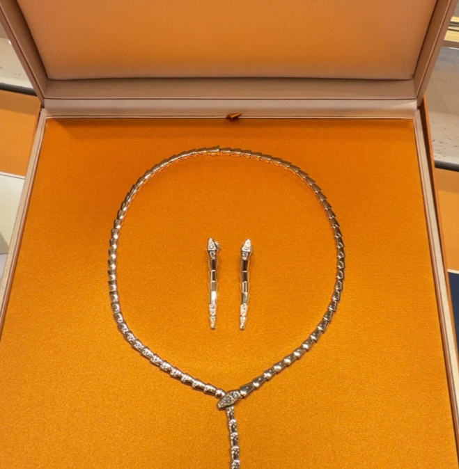 [⭐moonlume]NEW！SERPENT DIAMOND NECKLACE
