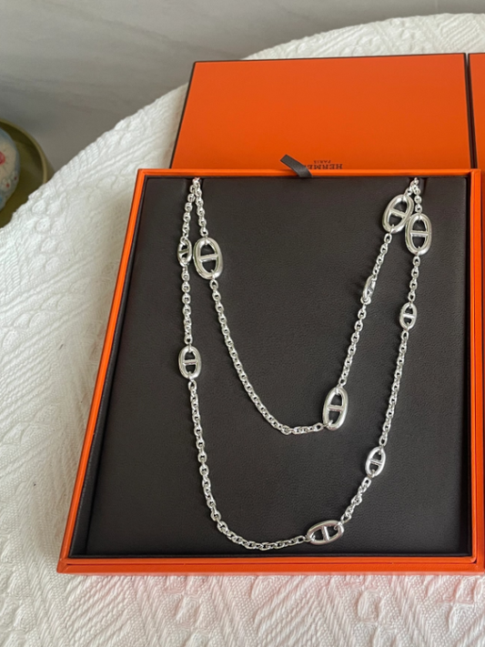 [⭐moonlume]Classic Silver Sweater Chain