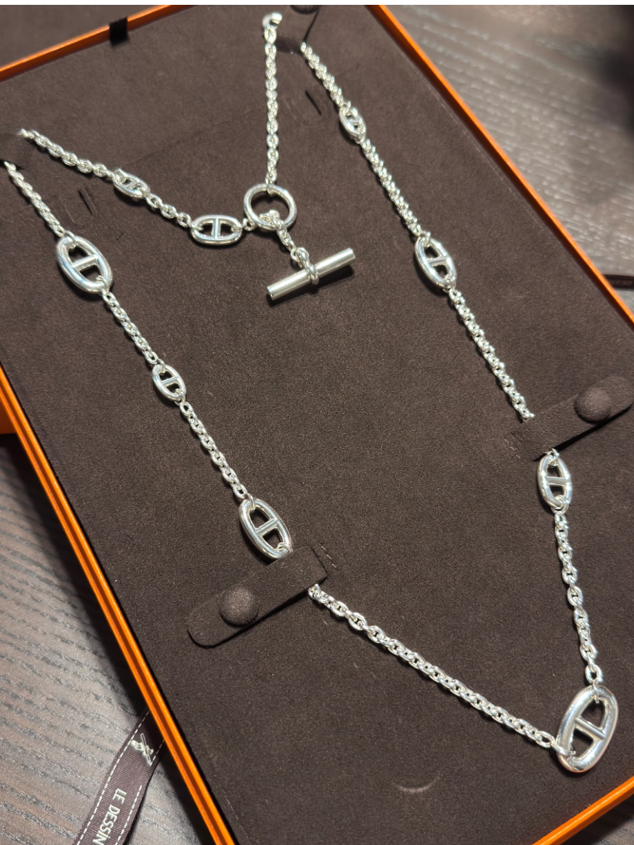 [⭐moonlume]Classic Silver Sweater Chain