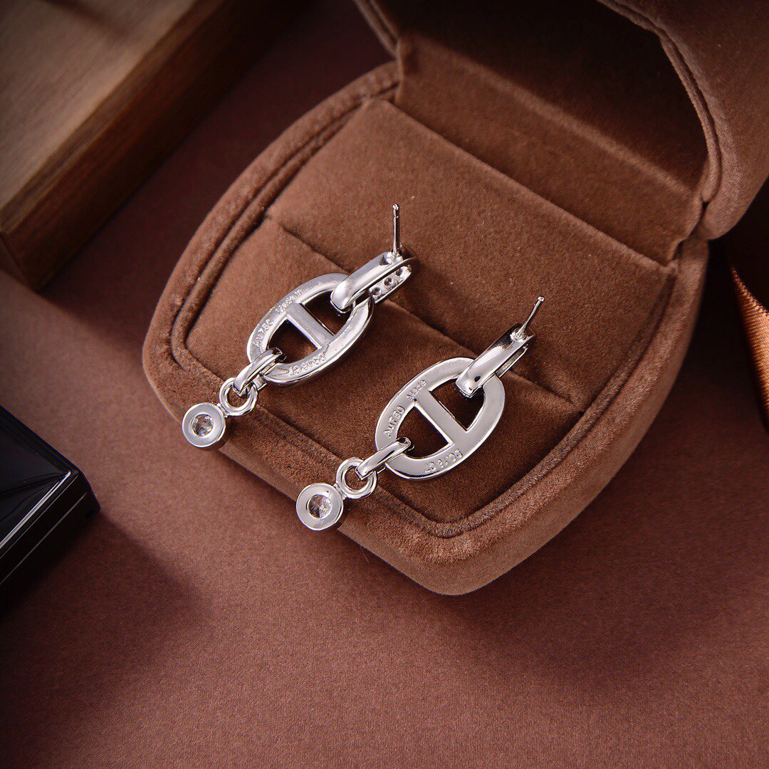 [⭐moonlume]HM CHAINE DIAMOND EARRINGS