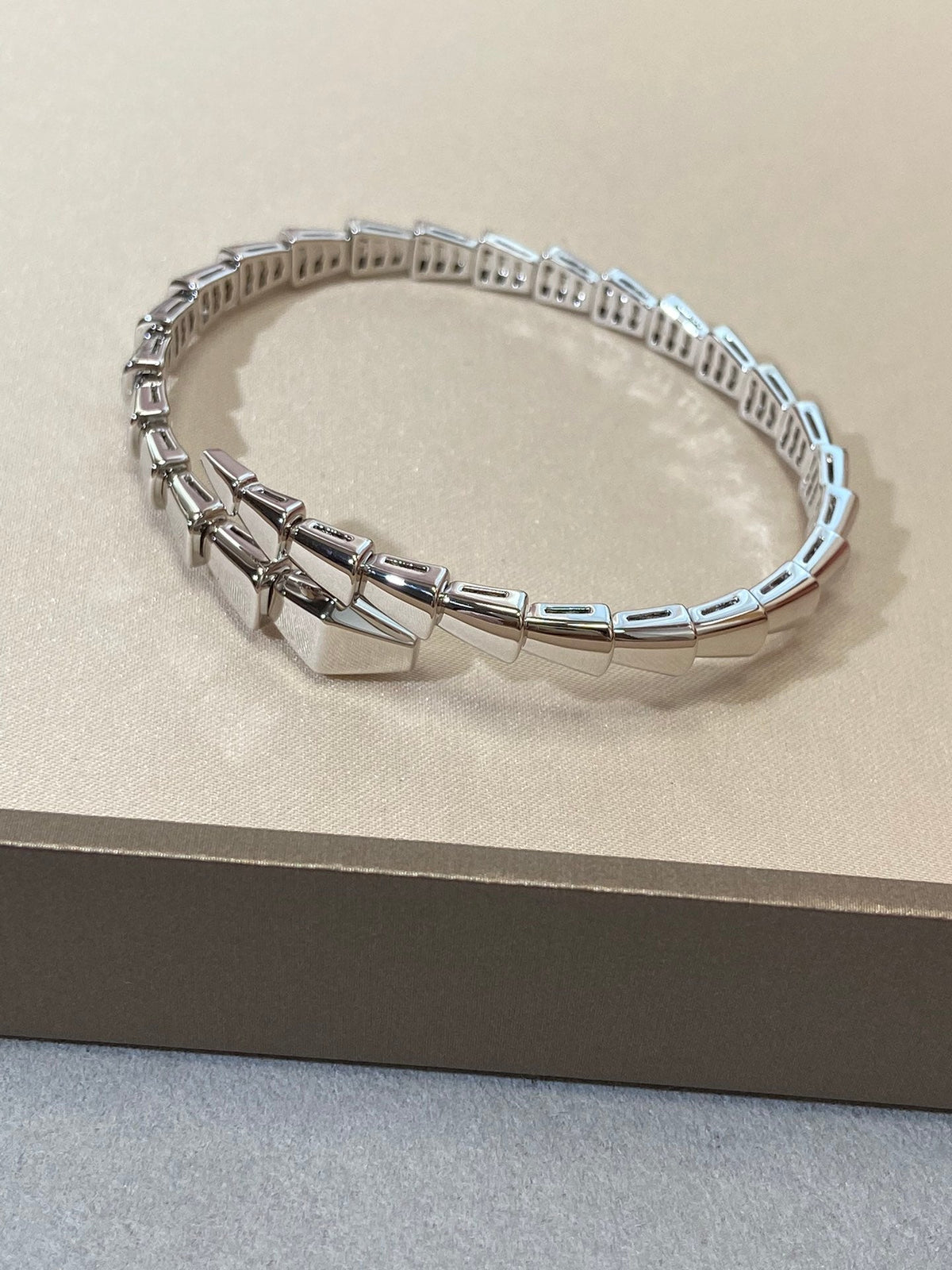 [⭐moonlume]SERPENTI VIPER SILVER BRACELET